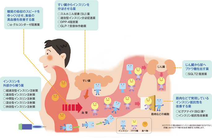 薬物療法の流れ