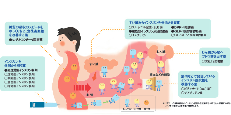 薬物療法の流れ